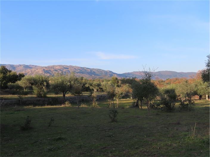 Image No.31-Property for sale