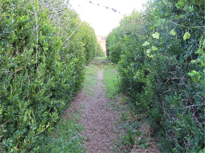 Image No.38-Property for sale