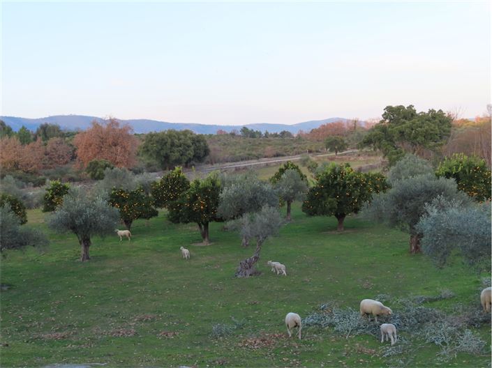 Image No.48-Property for sale