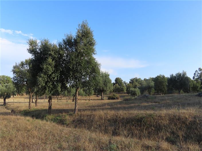 Image No.21-Property for sale