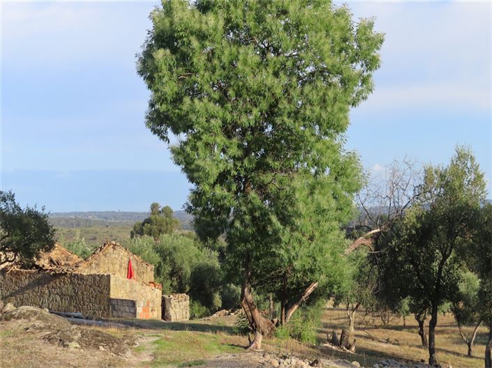 Image No.32-Property for sale