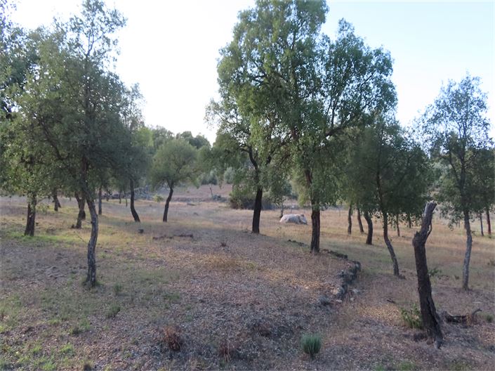 Image No.6-Property for sale