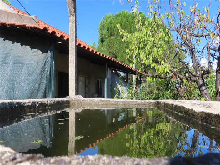 Image No.1-Property for sale