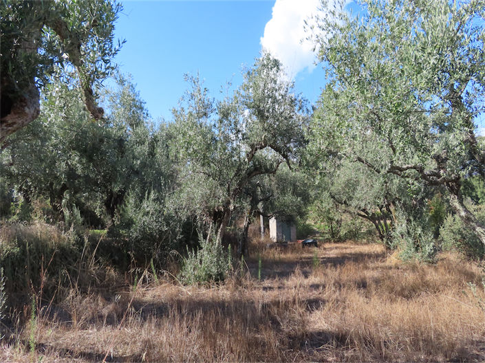 Image No.22-Property for sale