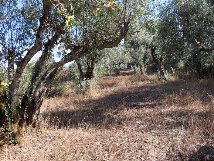 Image No.26-Property for sale