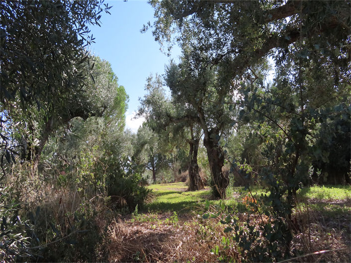 Image No.27-Property for sale