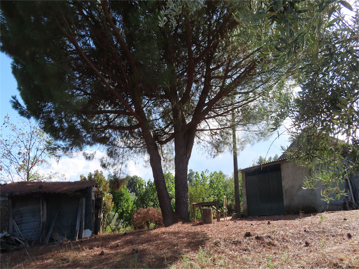 Image No.28-Property for sale