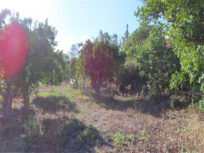 Image No.29-Property for sale