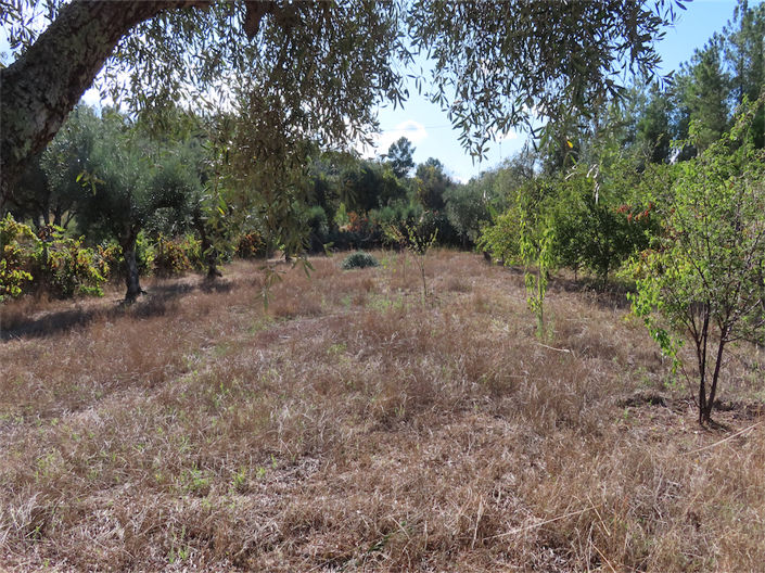 Image No.32-Property for sale