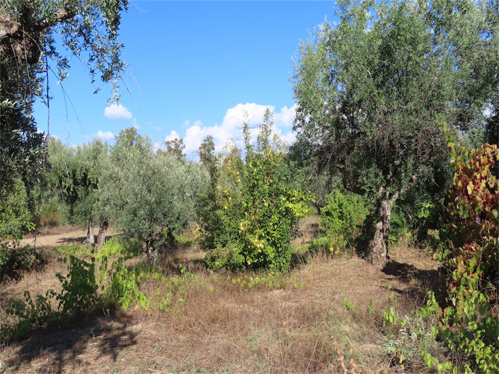 Image No.34-Property for sale