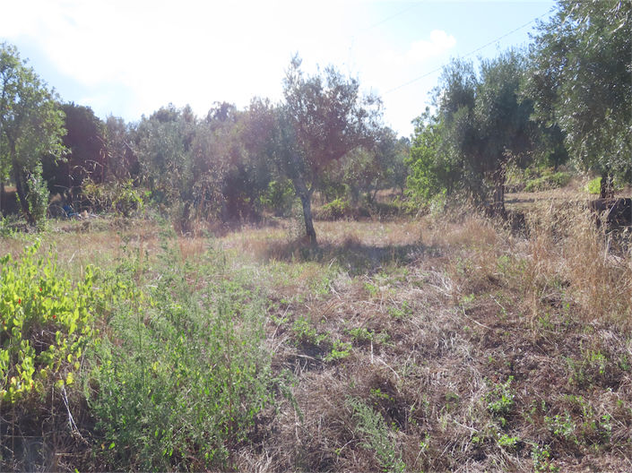 Image No.38-Property for sale