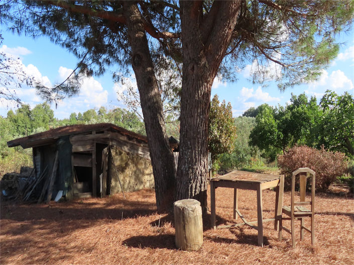 Image No.9-Property for sale