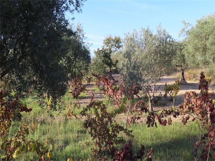 Image No.1-Property for sale