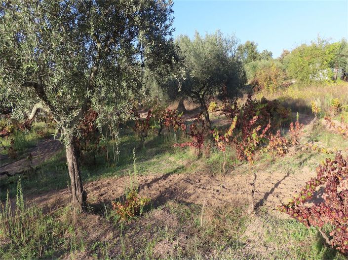 Image No.10-Property for sale