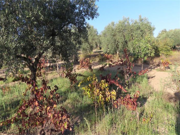 Image No.11-Property for sale