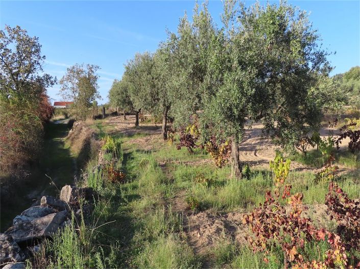 Image No.12-Property for sale