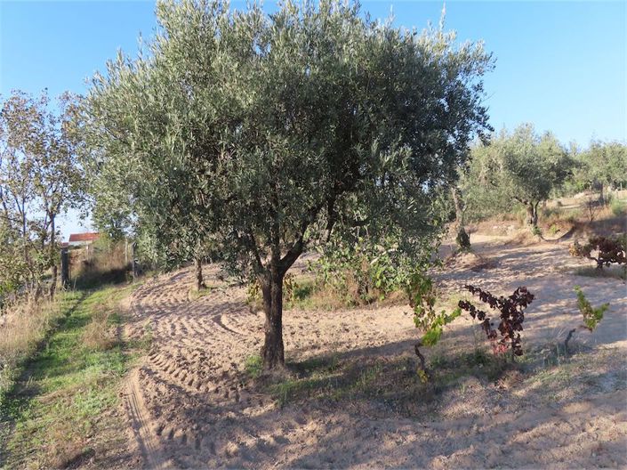 Image No.13-Property for sale