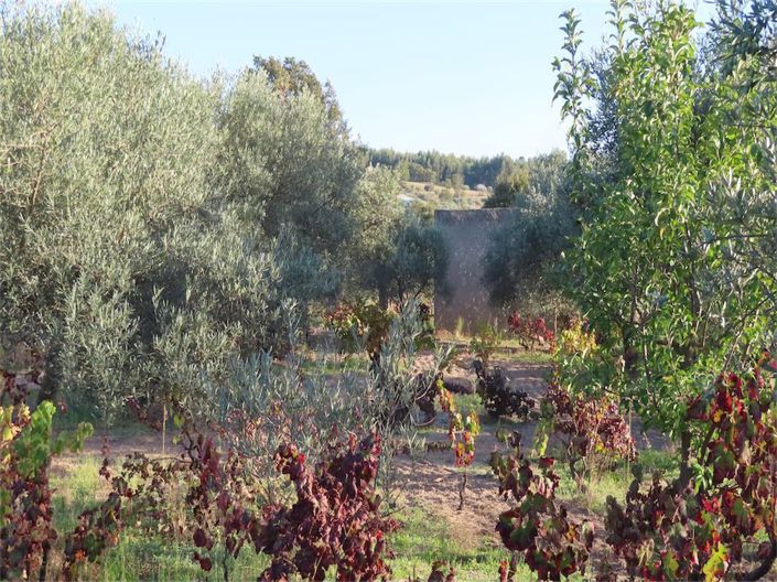 Image No.2-Property for sale