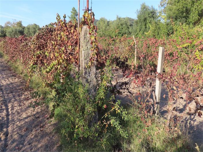 Image No.22-Property for sale