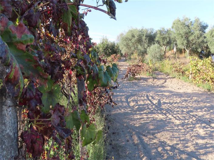 Image No.25-Property for sale