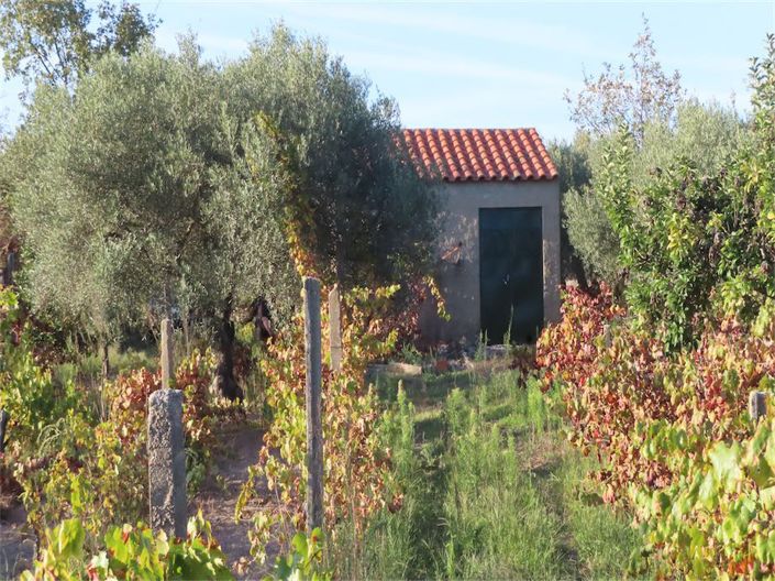 Image No.26-Property for sale