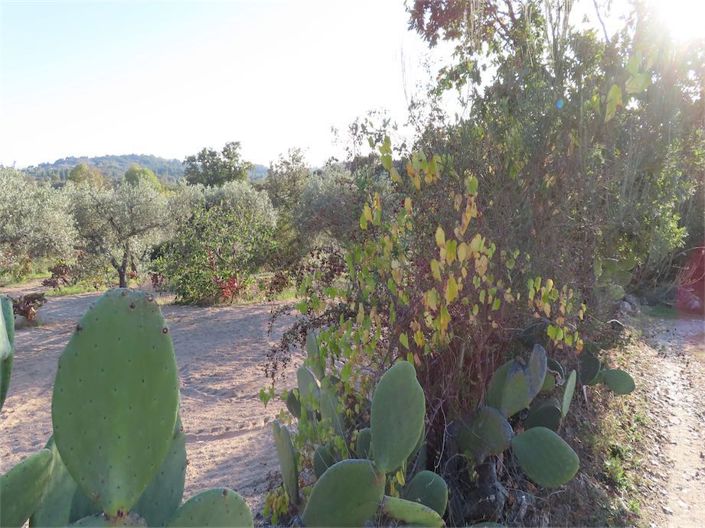 Image No.3-Property for sale