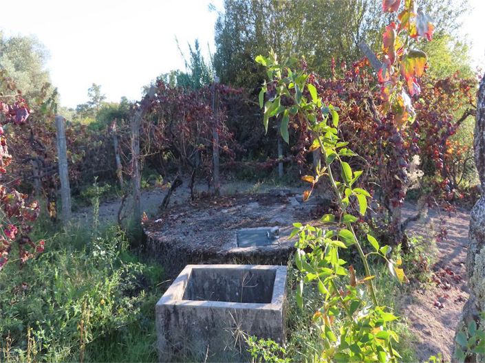 Image No.30-Property for sale