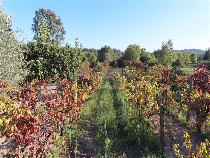 Image No.37-Property for sale