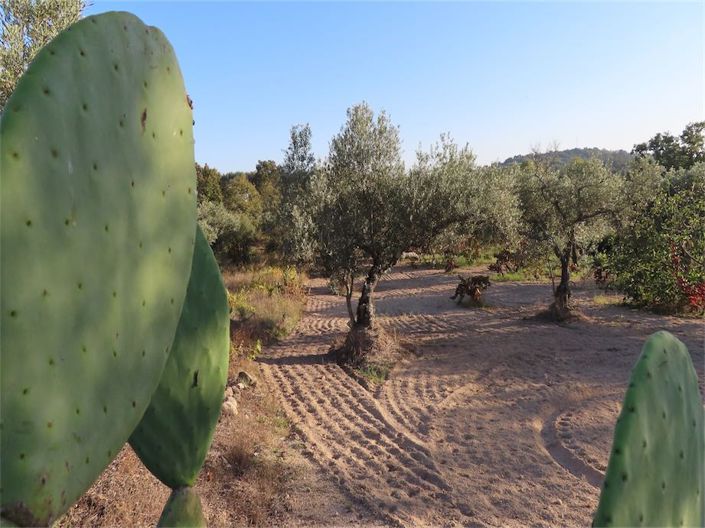 Image No.4-Property for sale