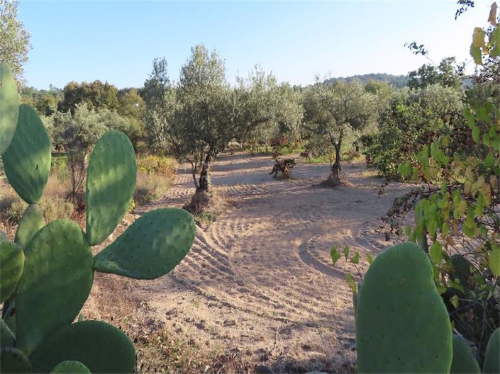 Image No.5-Property for sale