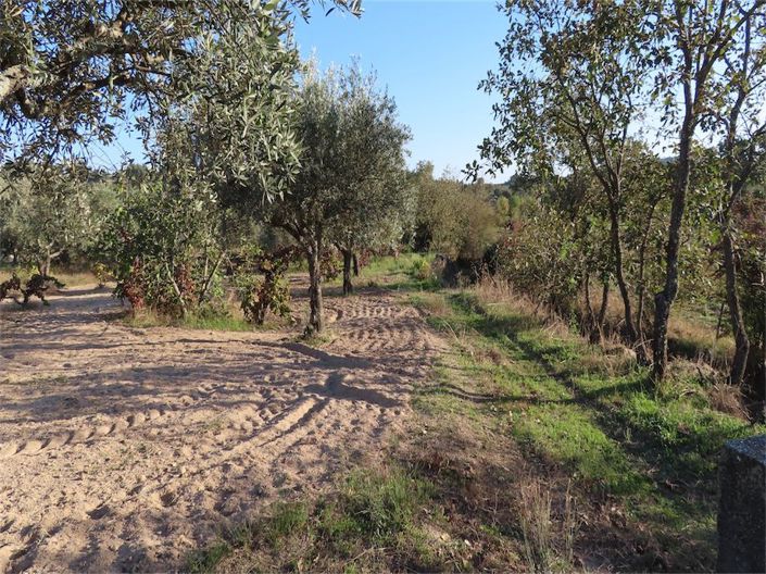 Image No.6-Property for sale