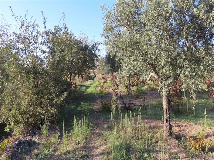 Image No.9-Property for sale