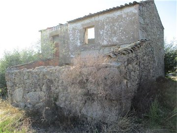 img7287