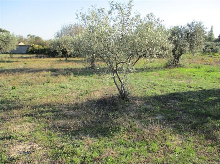 Image No.3-Property for sale