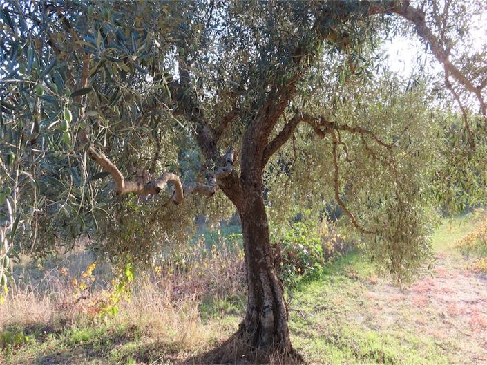 Image No.10-Property for sale