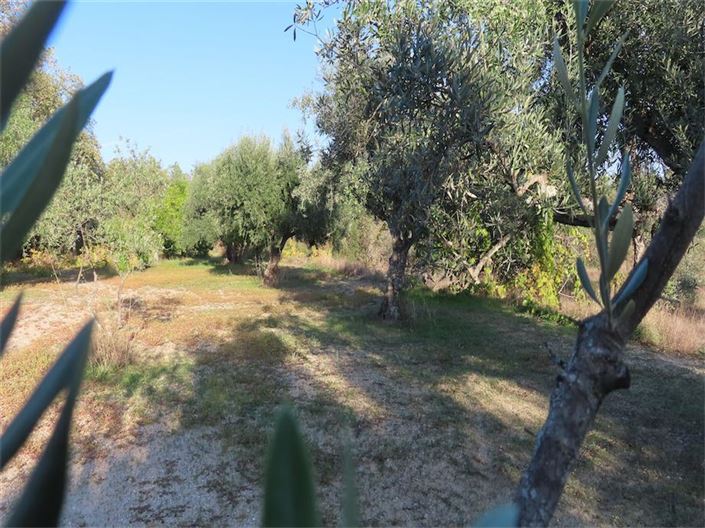 Image No.11-Property for sale