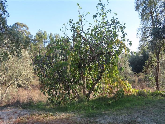 Image No.12-Property for sale