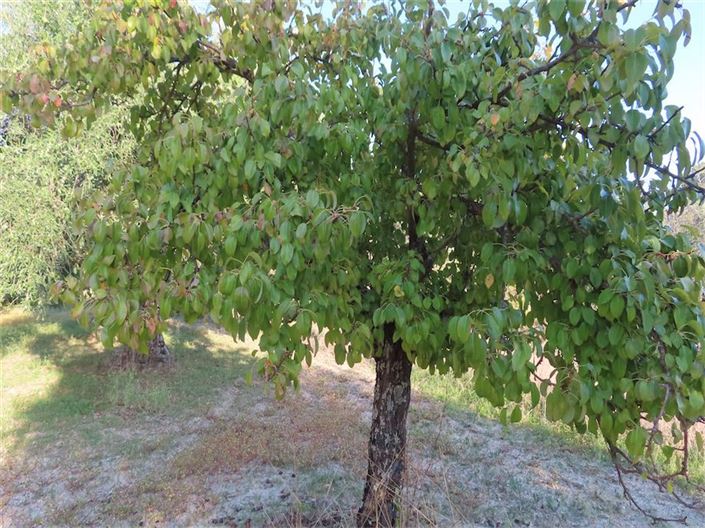 Image No.13-Property for sale