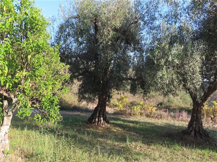 Image No.14-Property for sale