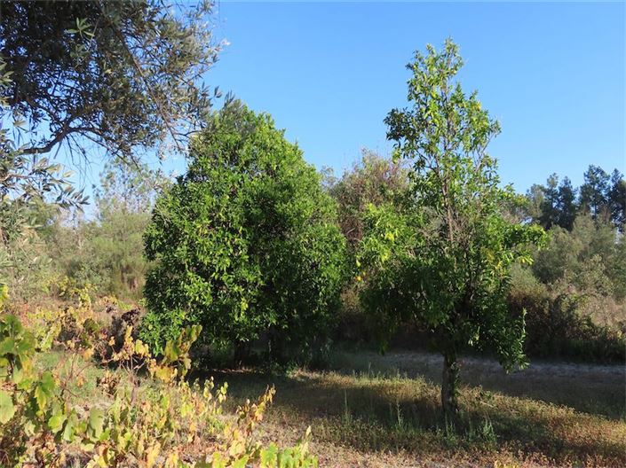 Image No.15-Property for sale