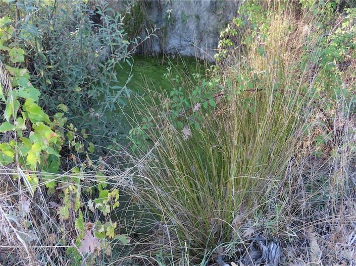 Image No.17-Property for sale