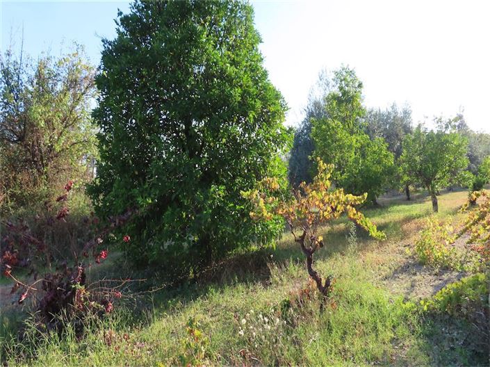 Image No.18-Property for sale