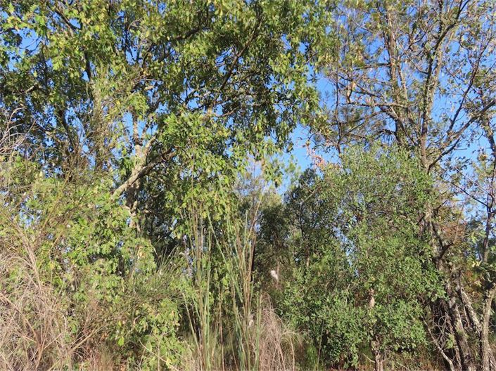 Image No.19-Property for sale