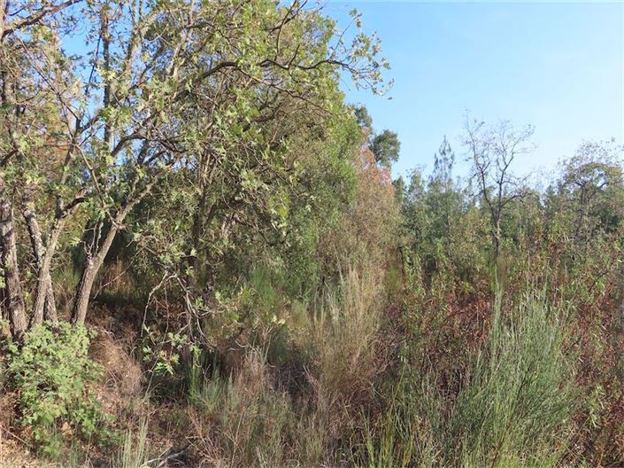 Image No.20-Property for sale