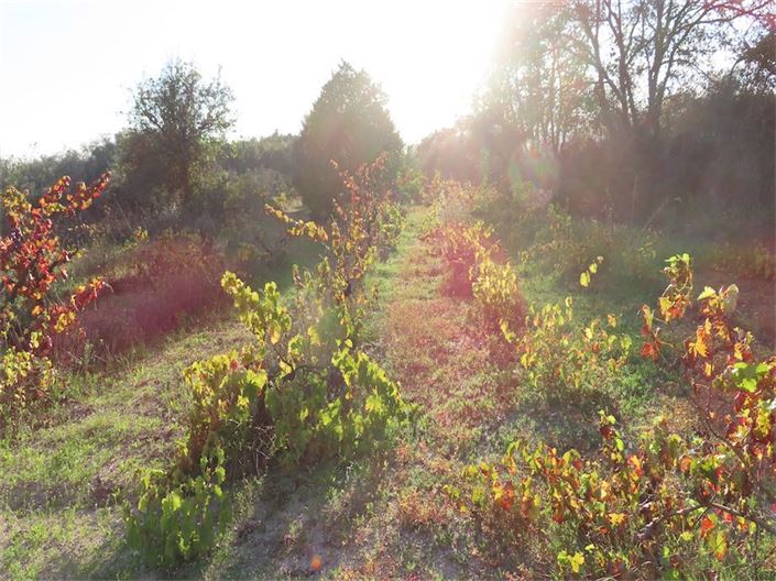 Image No.21-Property for sale