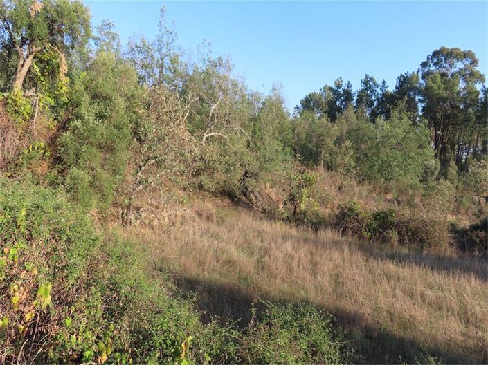 Image No.22-Property for sale