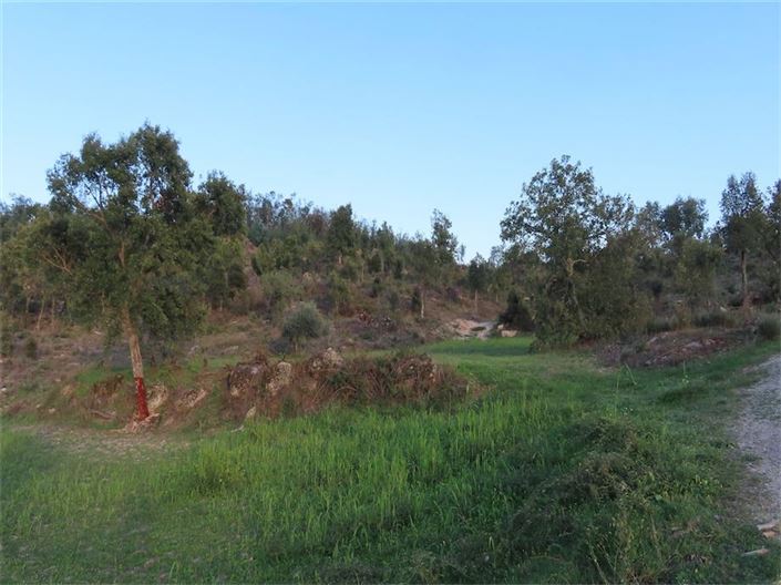 Image No.3-Property for sale