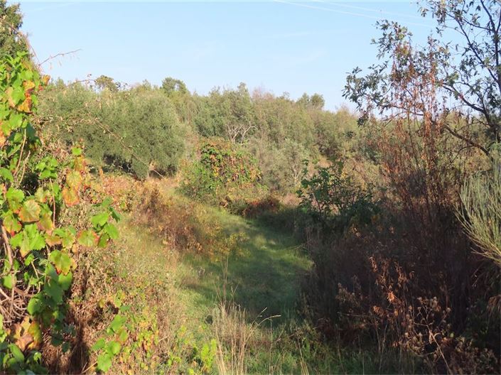 Image No.4-Property for sale