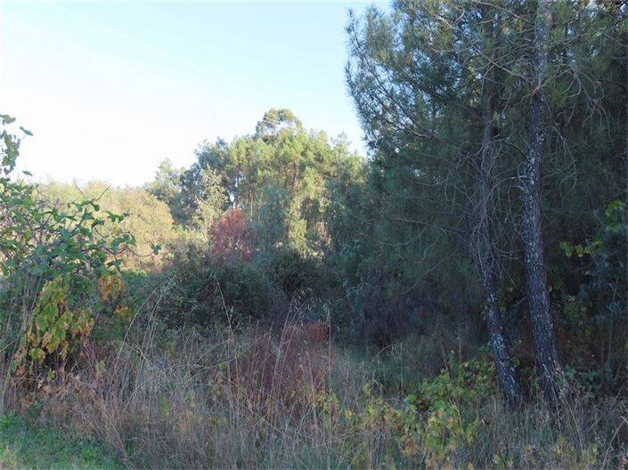 Image No.5-Property for sale