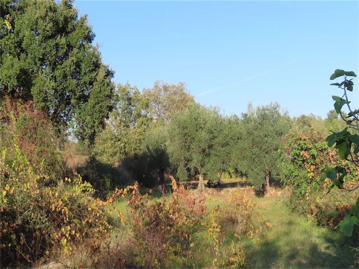 Image No.6-Property for sale